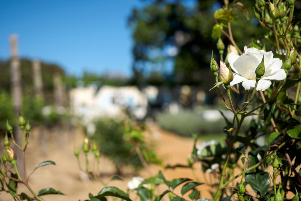 Auberge Clermont 프란쉬후크 외부 사진